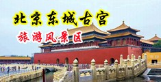 国语对白农村老太婆BBw中国北京-东城古宫旅游风景区